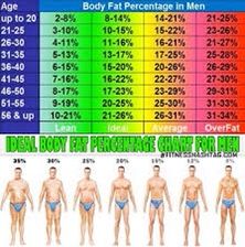 Body Fat Chart, Body Fat Percentage Chart, Bodybuilding For Beginners, Body Building Tips, Body Fat Percentage, Ideal Body, Weight Reduction, Lose Body Fat, Body Fat