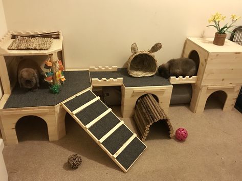 Pet Bunny House, Rabbit Enrichment, Diy Bunny Cage, Indoor Rabbit House, Diy Bunny Toys, Rabbit Shed, Indoor Rabbit Cage, Rabbit Hide, Bunny Cage