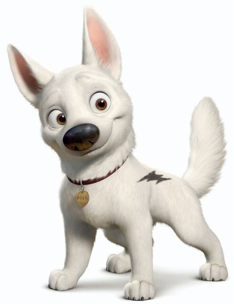 Disney's dog 'Bolt' Bolt Movie, Bolt Characters, Bolt Dog, Bolt Disney, Circus Characters, Conceptual Sketches, Dog Movies, Character Types, Disney Dogs