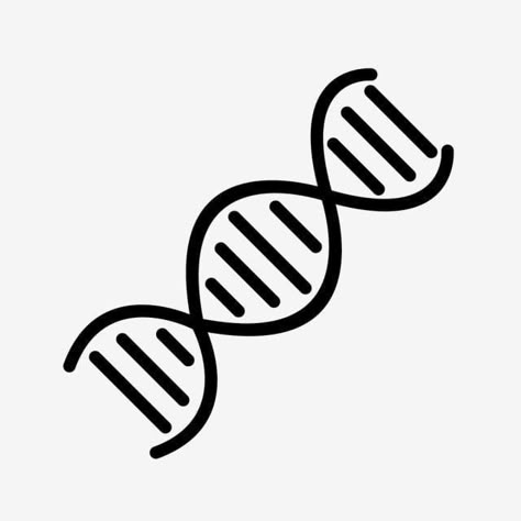 Dna Drawing Easy, Dna Black And White, Dna Doodle, Dna Cartoon, Dna Logo Design, Wedding Rings Diamond Shape, Dna Vector, Dna E Rna, Dna Drawing