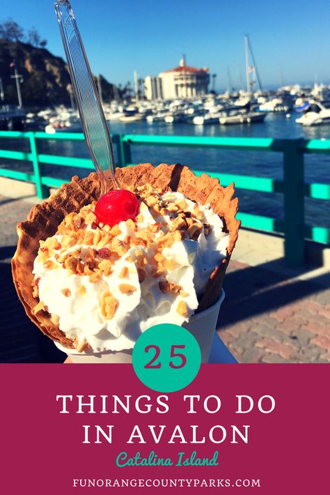 Things To Do On Catalina Island, Catalina Island Cruise Port, Ensenada Cruise, Avalon California, Avalon Catalina Island, Catalina Island California, Kat Diy, Santa Catalina Island, Mexico Cruise