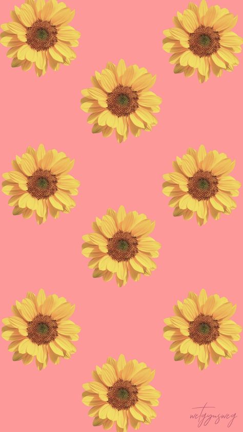 Sunflower Pink Background, Pink Sunflowers Wallpaper, Pink Wallpaper Phone, Sunflowers Wallpaper, Sunflower Background, Wallpaper Design Pattern, Funky Wallpaper, Sunflowers Background, Pink Sunflowers