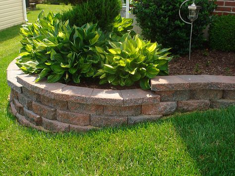 Explore A+ Landscape Solutions' photos on Flickr. A+ Landscape Solutions has uploaded 50 photos to Flickr. Front Yard Retaining Wall, Yard Retaining Wall, Landscaping Retaining Walls, Brick Garden, Garden Fun, Front Landscaping, Front House, Walled Garden, Retaining Walls