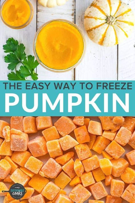 Learn all the tips and tricks for freezing pumpkins to extend the harvest. Learning how to freeze pumpkin in cubes or puree is a great way to preserve this wonderful ingredient without needing to know any special kitchen skills. How To Freeze Fresh Pumpkin, Freezing Pumpkin Chunks, How To Freeze Pumpkin Puree, Freeze Dried Pumpkin, How To Freeze Pumpkin, Pumpkin Freezing, Freezing Pumpkin Puree, How To Freeze Squash, Freeze Pumpkin Puree