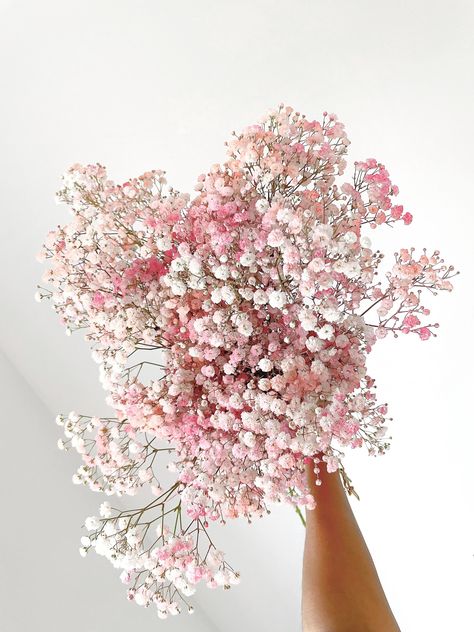 Baby's Breath Centerpiece Wedding, Rainbow Gypsophila, Baby's Breath Centerpiece, Baby's Breath Bouquet, Flower References, Letterbox Flowers, Flowers Wild, Boquette Flowers, Flower Company