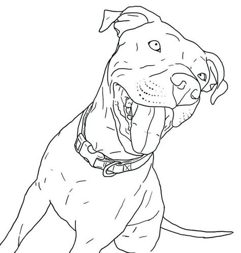 Puppies Coloring Pages Girl Pitbull Dog Paintings Acrylic, Pitbull Colors, Pitbull Drawing, Easy Coloring Pages For Kids, Dog Drawing Simple, Drawing Nose, Pit Bull Puppies, Coloring Pages Aesthetic, Aesthetic Coloring Pages