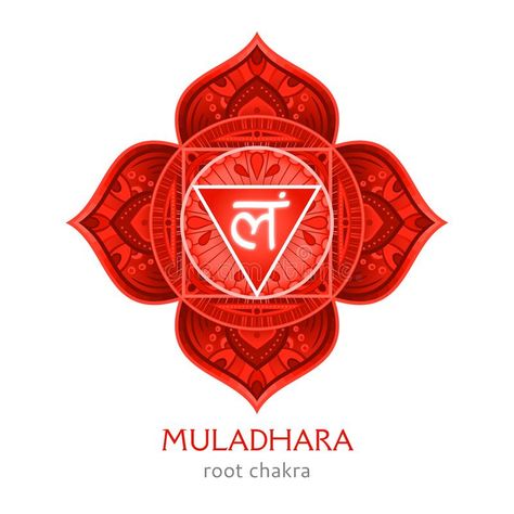 Muladhara, root chakra symbol. Colorful mandala. Vector illustration. Design vector illustration Root Chakra Illustration, Root Chakra Mandala, Root Chakra Art Paintings, Root Chakra Tattoo Symbols, Muladhara Chakra Symbol, Root Chakra Image, Muladhara Chakra Tattoo, Root Chakra Aesthetic, Root Chakra Tattoo