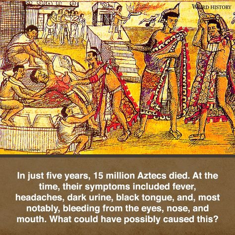 For hundreds of years, history left us wondering what disease killed the Aztecs in the mid-1500s. Many assumed the Aztecs were one of many Central American groups to be wiped out by European diseases like smallpox. However, DNA testing has unearthed new evidence about what really killed 80% of the Aztecs. Scientists extracted DNA from Aztec teeth, and discovered the presence of a strand of S... #aztecs #mysterydisease #dna #salmonella #epidemic #historicalresearch #climatechange #spanishinvasion Black Tongue, Feathered Serpent, Aztec Empire, The Aztecs, Dna Sequence, Scientific Discovery, Wipe Out, Just Now, Dna Test