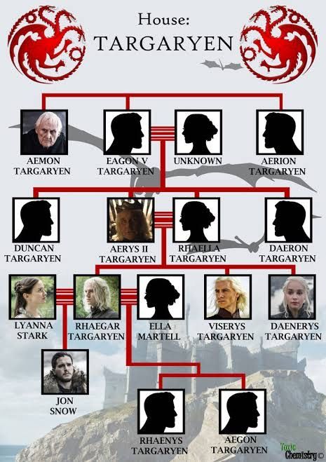 Game Of Thrones History, Targaryen Family Tree, Game Of Thrones Map, Westeros Map, Family Tree With Pictures, Game Of Thrones Series, Got Memes, Game Of Thrones Art, House Targaryen