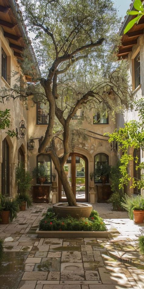 Tuscan Cottage Exterior, Italian Cottage Interior, Italian Style House, Mediterranean Backyard, Italian Courtyard, Courtyard Home, Mediterranean Patio, Hacienda Style Homes, Courtyard Gardens