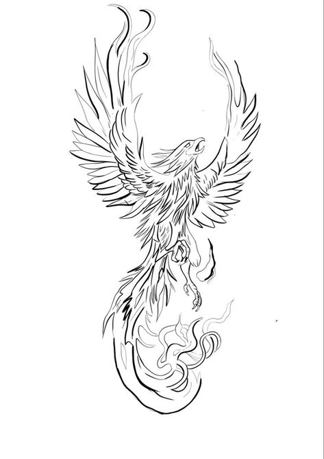 Fenix Bird Tattoo, Phoenix Tattoo Stencil, Fenix Tattoo Design, Phoenix Outline, Phoenix Tattoo Sleeve, Japanese Phoenix Tattoo, Phoenix Tattoo For Men, Fenix Tattoo, Phoenix Drawing