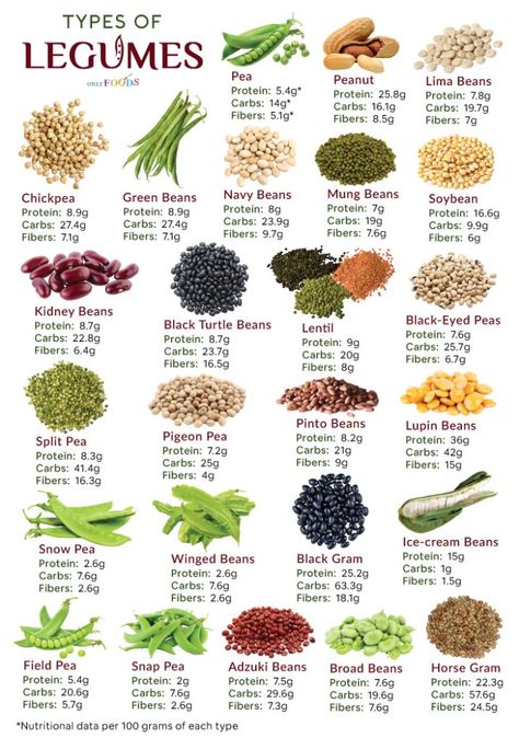 Legumes List, Types Of Legumes, Navy Bean Recipes, Culinary Terms, Lentils Protein, Black Turtle Beans, Vine Fruit, Navy Beans, Protein In Beans