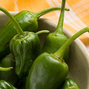 Padron Peppers Stuffed with Goat Cheese Padron Peppers, Piquillo Peppers, Stuffed Mini Peppers, Fabulous Foods, Fresh Mint, Goat Cheese, Peppers, Goats, Cheese