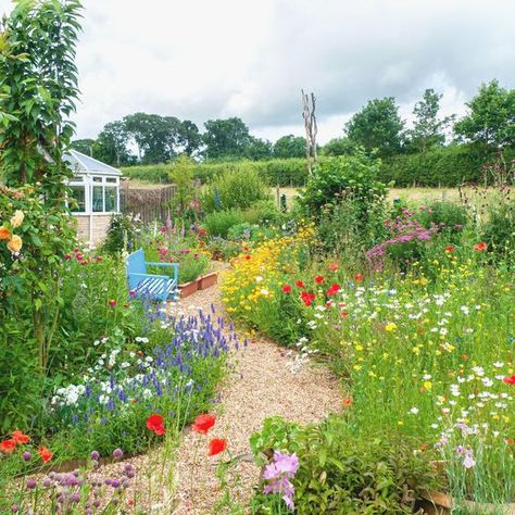 Wildflower garden ideas - clever pollinator planting for every garden | Ideal Home Australian Wildflower Garden, Small Wildflower Garden, Pollinator Garden Layout, Wild Garden Ideas, Wildflower Garden Ideas, Ideas For Small Gardens, Bungalow Conversion, Australian Wildflowers, Landscape Garden