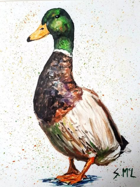 How To Paint A Duck, Duck Painting Acrylic, Mallard Duck Painting, Duck Watercolor, Italy Paintings, Wood Slice Painting, Duck Painting, Mallard Ducks, Art Alevel