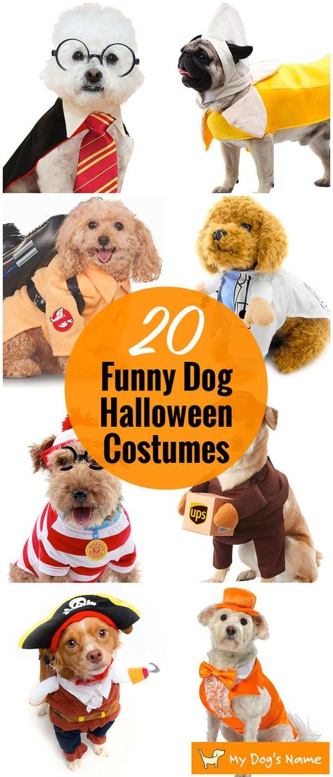 Halloween Costumes For Puppies, Dog Costumes For Two Dogs, Funny Dog Costumes, Costume To Do With Your Dog, Funny Dog Costumes Halloween, Halloween Costumes For Dogs And Owners, Dog Halloween Costumes For 2 Dogs, Puppy Halloween Costume, Halloween Costumes For Dogs