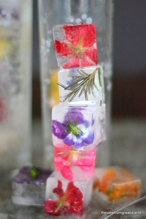 Photo of a stack of Edible Flower Ice Cubes. Brunch Flowers, Summer Ice Cubes, Floral Ice Bucket, Flowers Pansies, Ice Cube Recipe, Flowers Recipes, Ice Dress, Floral Ice Cubes, Flower Ice Cubes