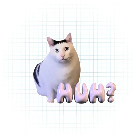 HUH? CAT Huh Meme, Huh Cat, Meme Cat, Cat Meme, Cat Quotes, Green Screen, Screen, Cars, Green