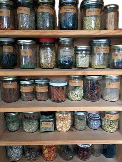 Tea Herbs Aesthetic, Herbal Medicine Garden, Home Apothecary Beginner, Holistic Medicine Aesthetic, Natural Medicine Aesthetic, Herbal Medicine Aesthetic, Herbalist Aesthetic, Diy Apothecary, Herbal Medicine Cabinet