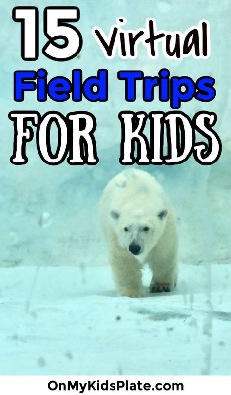 Virtual Field Trips Elementary Free, Virtual Field Trips Elementary For Kids, Technology Activities For Preschool, Trips For Kids, Homeschool Field Trips, Homeschool Geography, Science Skills, Learn And Play, School Field Trip