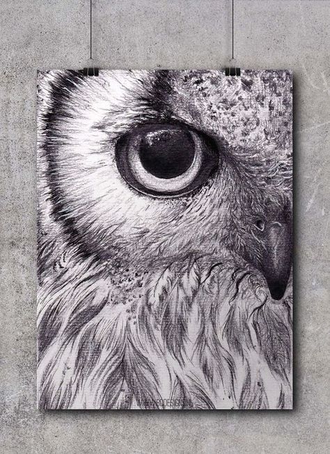 Bd Design, Owl Sketch, Owls Drawing, White Drawing, Owl Pictures, Owl Painting, Pencil Art Drawings, Black And White Drawing, Owl Art