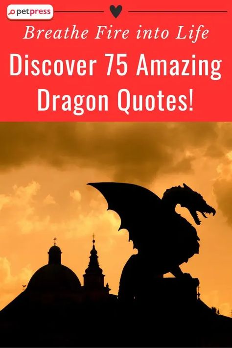 🐉 Unleash the power of dragon symbolism in your pursuit of success! Embark on an epic journey to discover the wisdom, courage, and transformative qualities embodied by dragons. Ignite your inner fire and conquer your goals with their strength and determination. Let the dragon inspire you to fearlessly face challenges, embrace change, and continuously grow. 🐉🔥 #Dragons #Success #InnerPower #IgniteYourPath #AchieveGreatness Dragon Sayings, Dragon Wisdom, Dragon Poems, Dragon Symbolism, Viking Symbols And Meanings, Dragon Facts, Dragon Quotes, Dragon Energy, Eye Quotes