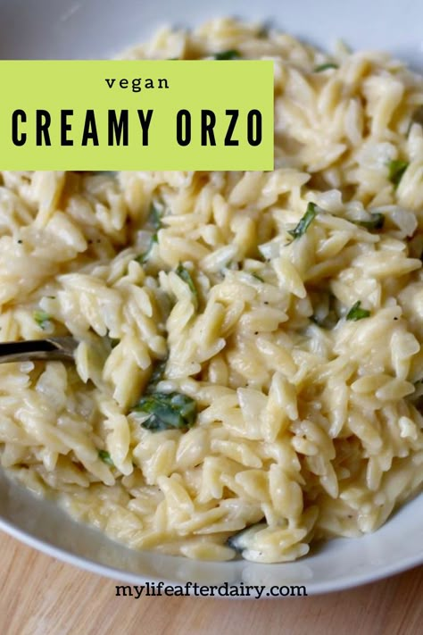 Creamy Garlic Orzo, Garlic Orzo, Pasta Side Dish, Pasta Side, Yum Sauce, Dairy Free Pasta, Creamy Pasta Dishes, Creamy Pasta Recipes, Pasta Side Dishes