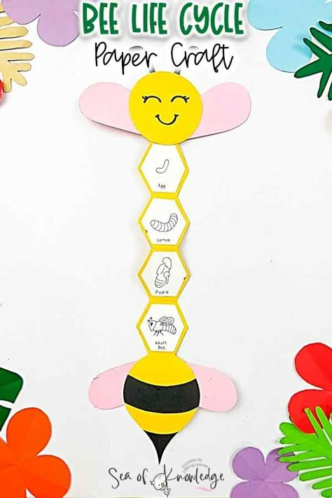 Life Cycle Of A Bee Free Printable, Life Cycle Crafts For Preschoolers, Bee Projects For Kids, Honey Bee Crafts For Kids, Life Cycle Of Honey Bee, Bee Life Cycle Craft, Life Cycles Preschool Activities, Bee Activities For Preschool, Bee Kindergarten