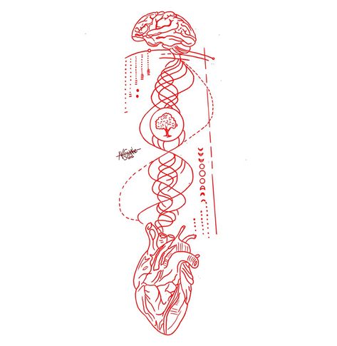 Brain And Heart Tattoo, Heart Tattoo Stencil, Heart And Brain Tattoo, Dna Tree, Spinal Tattoo, Dna Tattoo, Brain Tattoo, Heart And Brain, Faith Tattoo