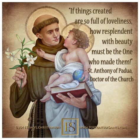 Ashes From Burnt Roses: Notable Quote: In the Mirror of the Cross by St. Anthony of Padua Saint Anthony Of Padua Quotes, St Anthony's Feast, Happy Feast Day, St Anthony Of Padua, Mary Images, Saints Quotes, Happy Feast, Anthony Of Padua, Saint Anthony Of Padua