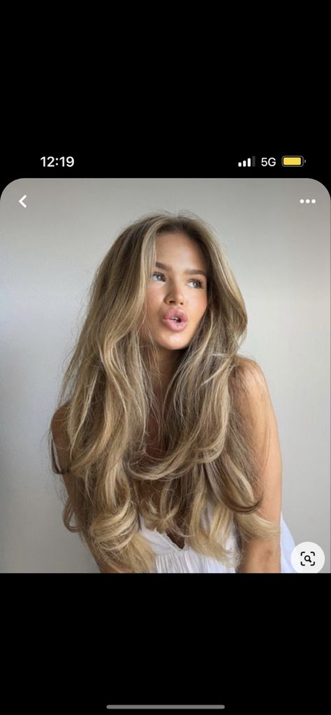 Teddy Bear Blonde Highlights, Teddy Blonde, Teddy Blonde Hair, Teddy Bear Blonde, Light Brunette Hair, Fall Blonde Hair, Light Brunette, Fall Blonde, Lion's Mane