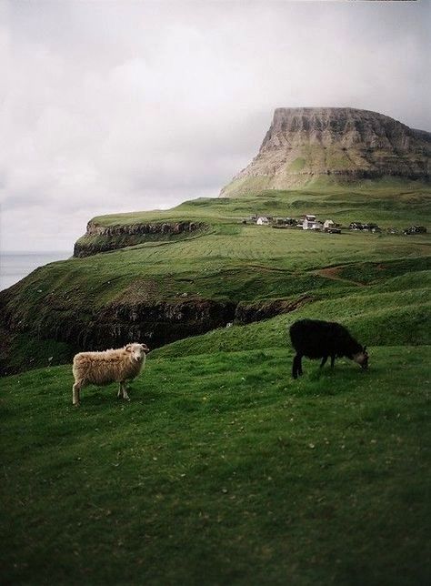 Faroe Island, Olafur Eliasson, Voyage Europe, Faroe Islands, Pretty Places, Landscape Photographers, Scandinavia, Travel Dreams, Beautiful World