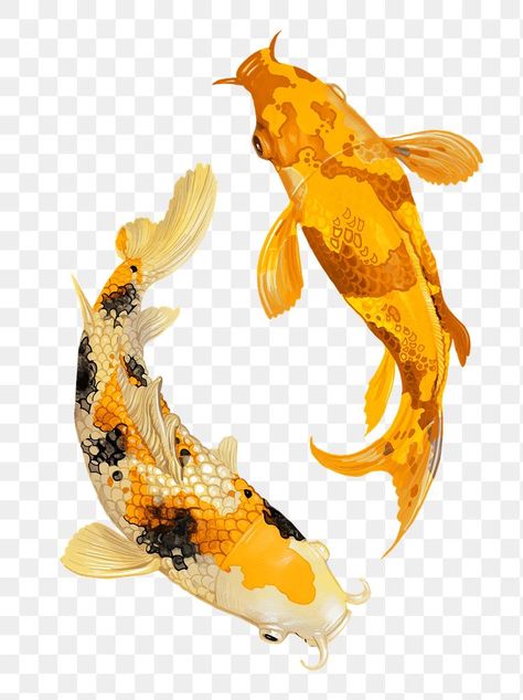 Fish Tank Ideas, Koi Fish Swimming, Fish Japanese, Fish Tank Themes, Ikan Air Tawar, Swimming Pictures, Koi Painting, Japanese Koi Fish, Koi Fish Designs