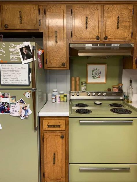 Avocado Green Kitchen Appliances, Avocado Green Kitchen Cabinets, 1970 House, Avocado Green Kitchen, 1930 Kitchen, Green Kitchen Appliances, 1970 Kitchen, Green Oven, 1970s Kitchen