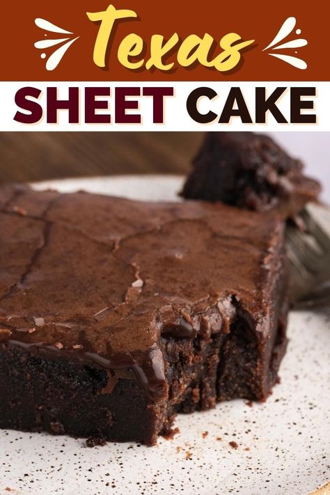 Moist, fudgy, and extremely chocolatey, this Texas sheet cake is like a cross between a decadent brownie and the best chocolate cake you've ever tried. Texas Sheet Cake Recipe, Pecan Frosting, Sheet Cake Recipe, Raw Brownies, Cakes To Make, Texas Sheet, Texas Sheet Cake, Chocolate Sheet Cake, Homemade Chocolate Cake