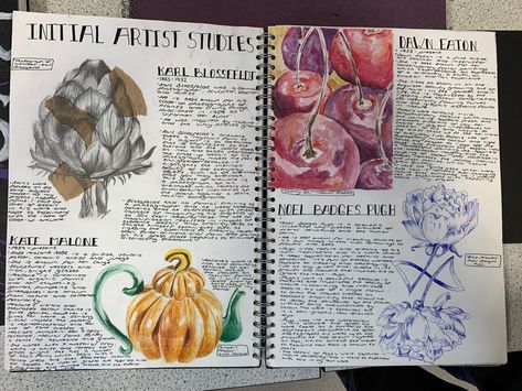 Natural Forms Gcse, Artist Research Page, Sketchbook Ideas Inspiration, Sketchbook Layout, Textiles Sketchbook, Natural Form Art, Art Alevel, Gcse Art Sketchbook, A Level Art Sketchbook