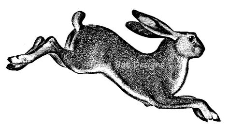 Rattus Rattus, Tattoo Large, Leaping Hare, Hare Illustration, Rabbit Tattoo, Hare Print, Rabbit Silhouette, Bunny Silhouette, Rabbit Tattoos