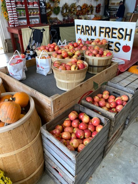 fall aesthetic, apple orchard, apple picking, autumn Apple Farm Aesthetic, Fall Farm Stand, Autumn Farmers Market, Orchard Aesthetic, Fall Farmers Market, Harvest Dinner Party, Fall Apple Picking, Fall Tumblr, Fall Produce