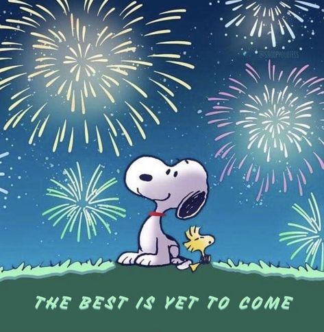 Snoopy Happy New Year, Snoopy New Year, Good Night Snoopy, Snoopy Museum, Snoopy Tattoo, Watching Fireworks, Happy New Year Wallpaper, Snoopy Images, Snoopy Wallpaper