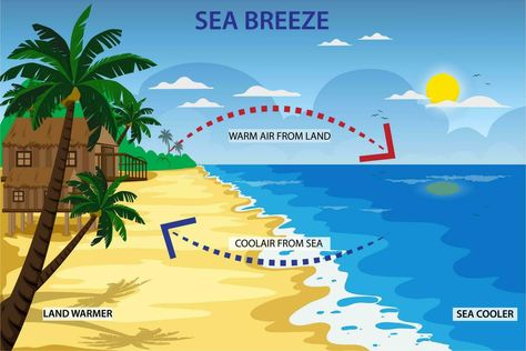 Land Breeze And Sea Breeze, During The Day, Sea Breeze, The Sea, Vector Art, Vector Free, The Day, This Is Us, Science