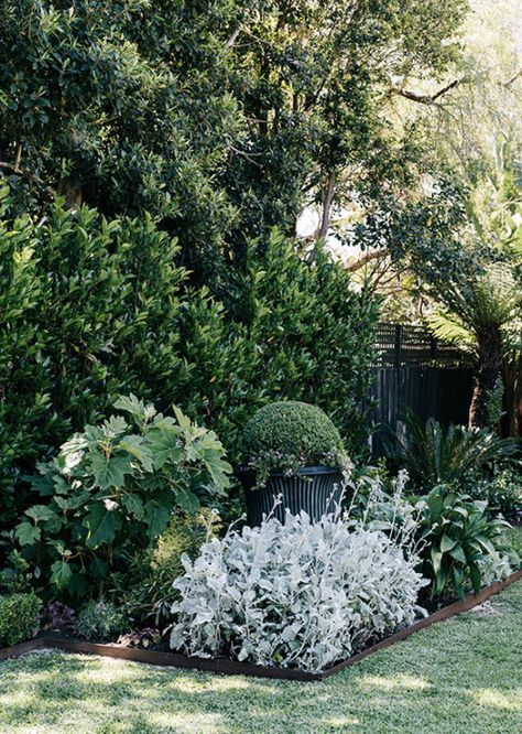 Federation Garden Australia, Australian Shade Garden, Australian Garden Design Front Yards, Queensland Garden Ideas, Native Gardens Australia, Modern Australian Garden, Layered Garden, Hamptons Garden, Colourful Landscape