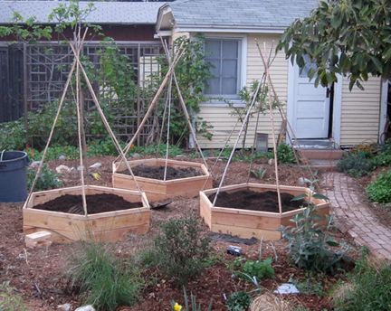 Garden Bed Layout, Raised Planter Beds, Vegetable Garden Raised Beds, Raised Garden Beds Diy, Raised Planter, Edible Landscaping, Veg Garden, Home Vegetable Garden, Raised Bed