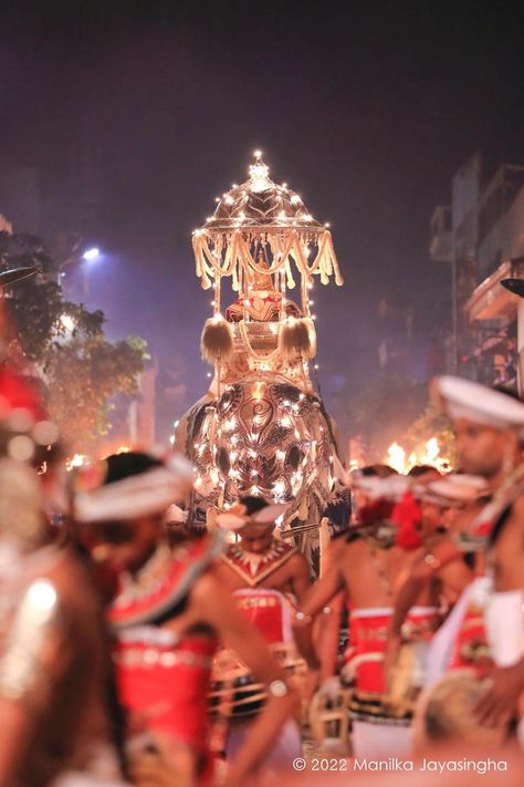 Join us on a journey through history! Watch the mesmerizing Historical Kandy Esala Perahara live on our Facebook page. 📜🐘 Don't miss this captivating cultural spectacle! #KandyPerahara #LiveOnFacebook #CulturalHeritage" #Devotion #DevotionLK #SriLanka #SocialMediaPartner #SocialMediaSriLanka 🇱🇰 Kandy Esala Perahera, Traditional Hand-strung Mala For Festivals, Kandy Sri Lanka, Wonderla Amusement Park Hyderabad, Kandalama Hotel Sri Lanka, Sri Lanka, Social Media, History