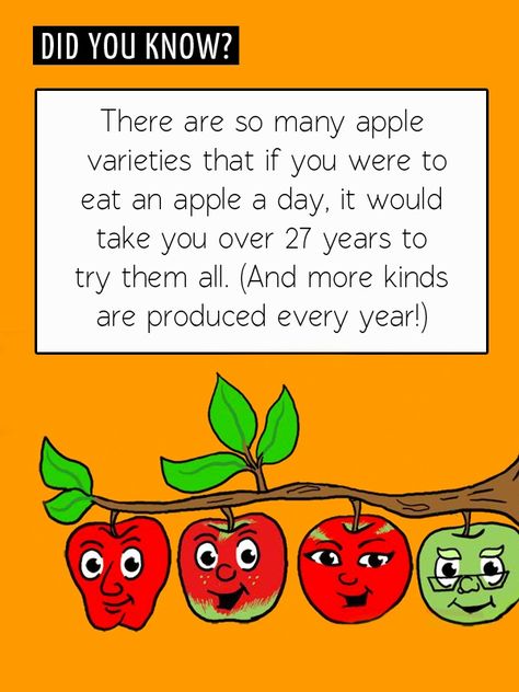 FUN FOOD FACT: Apple trees take four to five years to produce their first fruit. ‪#‎applefact‬ ‪#‎healthyfruit‬ ‪#‎avaritowerskhi‬ Apple Facts, Farm Facts, Fruit Facts, Fun Fact Friday, Curious Facts, Apple Varieties, An Apple A Day, Apple A Day, Did You Know Facts