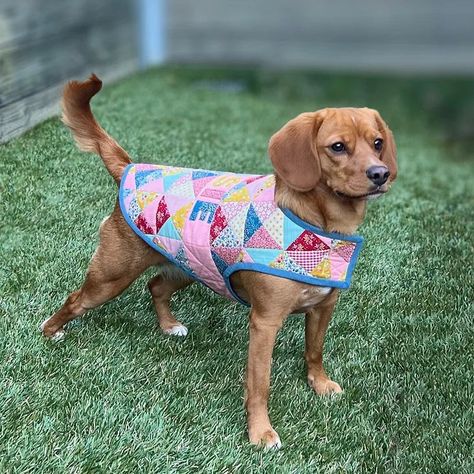 The Patchwork Pooch Quilt Jacket for dogs, by Melly and Me! What a cutie patootie! Perhaps a bit too beautiful for Fleur's kelpie farm crew to wear (they would trash it! Bless!), but Kerry's two would look super cute! This gorgeous dog jacket comes with the ability to personalise using a name appliqué and has a harness loop hole. The jacket is ideal for strolls in the park, cozy winter mornings, or making a statement at doggy day care. This printed pattern contains full photographic step-by... Extra Large Dog Breeds, Dog Jacket Patterns, Patchwork Quilt Jacket, Doggy Day Care, Jacket Sewing, Patchwork Fashion, Dog Quilts, Food Appetizers, Jacket Pattern Sewing