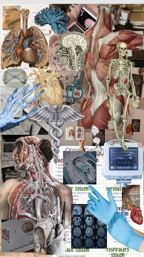 Physiology Aesthetic Wallpaper, Anatomy And Physiology Cover Page, Human Anatomy Wallpaper, Anatomy And Physiology Aesthetic, Physiology Aesthetic, Medicine Collage, Wallpaper Medicine, Medical Collage, Science Portfolio