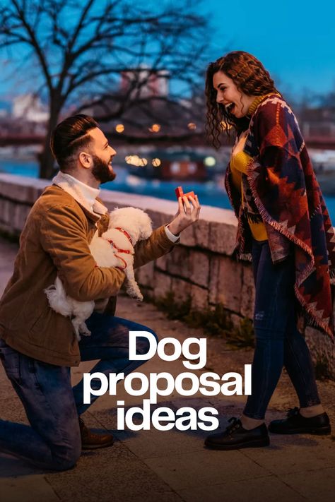 Dogs Proposal Ideas, Dog Proposal Ideas, Dog Proposal Ideas Engagement, Proposal With Dog Ideas, Proposals With Dogs, Proposal Ideas With Dogs, Proposal With Dog, Dog Engagement Announcement, Puppy Engagement Proposal