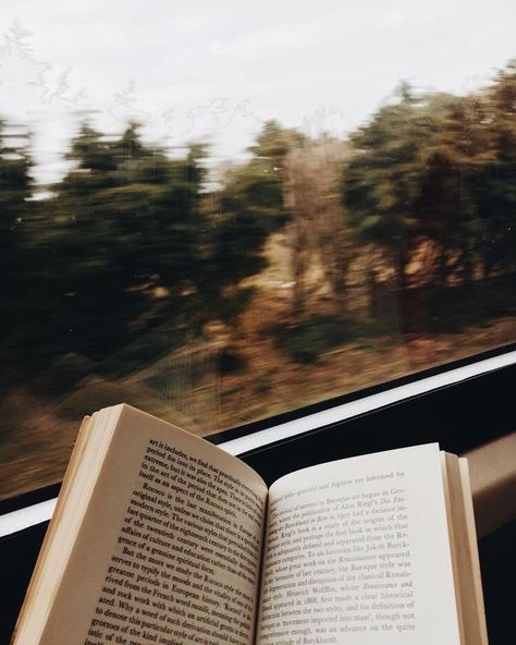 hannah on Twitter: "a dark academia kind of autumn… " Art With Meaning, An Open Book, Dark Academia Aesthetic, Academia Aesthetic, Jolie Photo, Open Book, Brown Aesthetic, Autumn Aesthetic, Train Travel