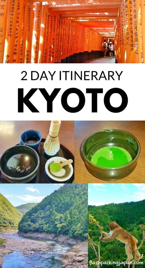 2 days in Kyoto itinerary can be PERFECT for first trip to Kyoto! 🍵 48 hours in Kyoto itinerary 🍵 Japan travel blog - Flashpacking Japan Kyoto 2 Days Itinerary, Kyoto Day Trip, Kyoto Itinerary, Kyoto Travel Guide, Winter In Japan, Nijo Castle, Visit Kyoto, Korea Trip, Japan Itinerary