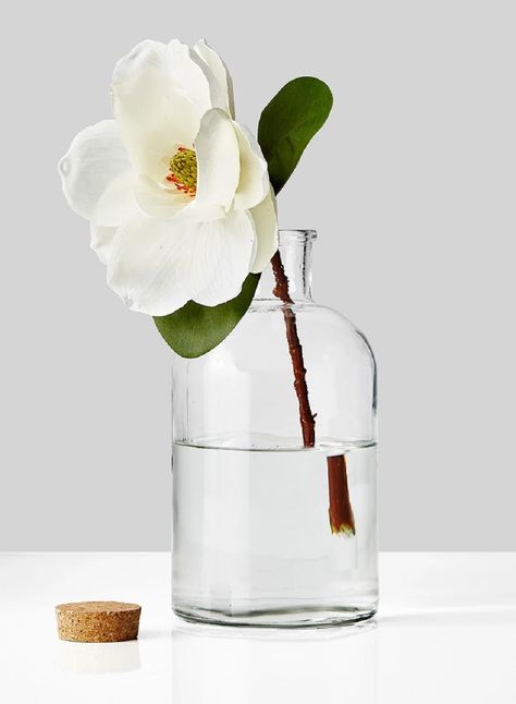 Single Flower In Vase, Serene Spaces, Flower In Vase, Large Glass Bottle, Vintage Wedding Centerpieces, Glass Bottle Vase, Large Glass Jars, Small Glass Bottles, Garden Vases